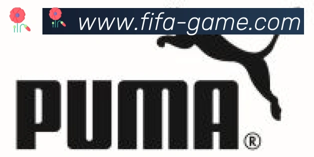 FIFA世界杯买球入口合作伙伴